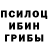 Галлюциногенные грибы Magic Shrooms Riza Ramaanova