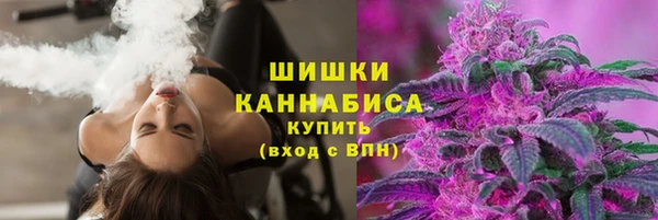 индика Медногорск
