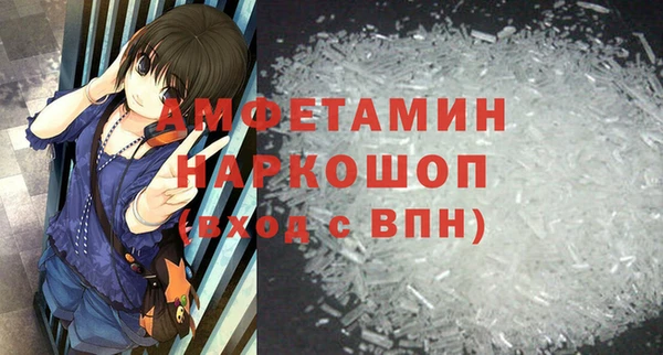 индика Медногорск