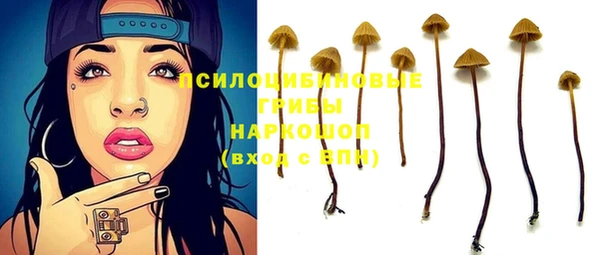 ГАЛЛЮЦИНОГЕННЫЕ ГРИБЫ Мегион