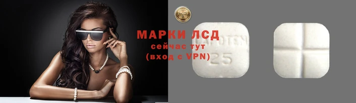 индика Медногорск