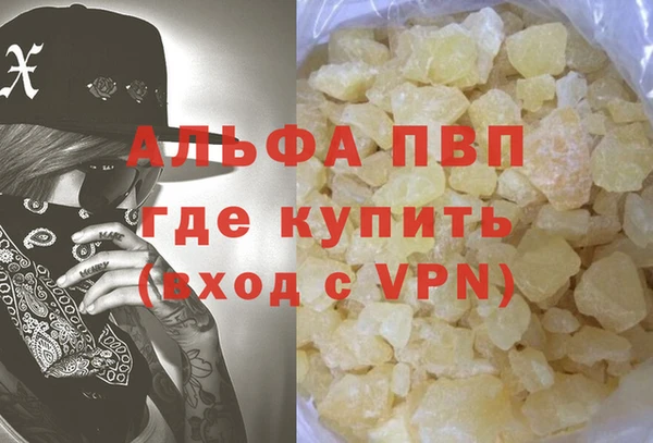 индика Медногорск