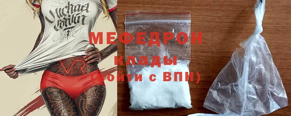 индика Медногорск