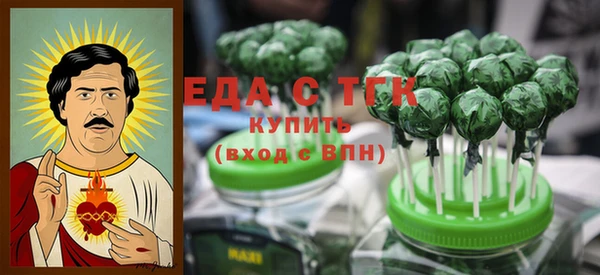 индика Медногорск