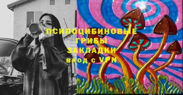 ГАЛЛЮЦИНОГЕННЫЕ ГРИБЫ Мегион