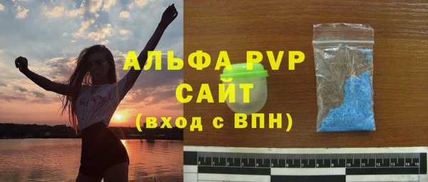 индика Медногорск