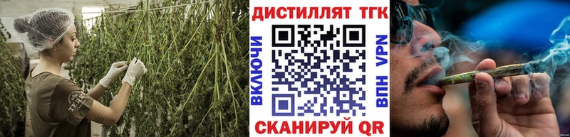 MEGA ссылка  наркошоп  Николаевск-на-Амуре  Дистиллят ТГК концентрат 